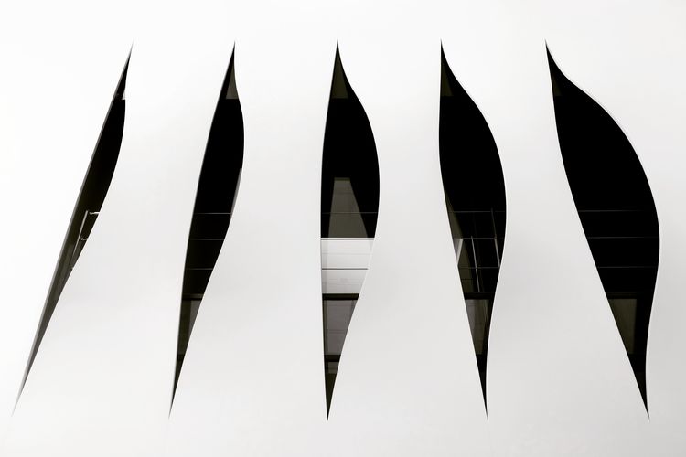 Close-up of background against sky