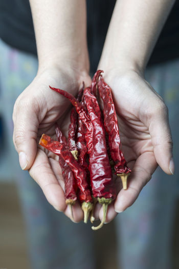 Midsection of woman holding red chili peppers