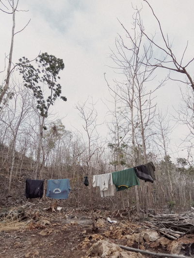 Clothes drying on bare trees on field against sky