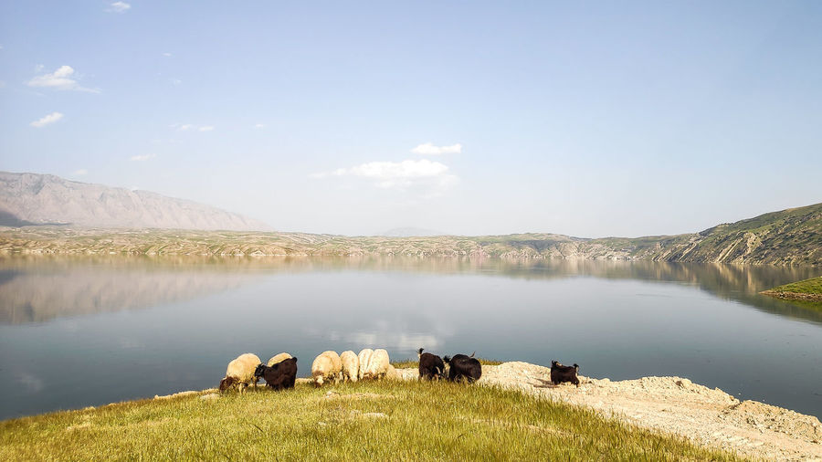 Scenic view of lake against sky