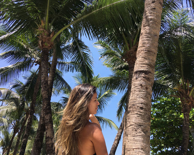 Low angle view of woman between palm tree