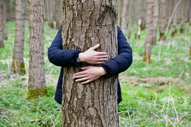 Man embracing tree trunk in forest