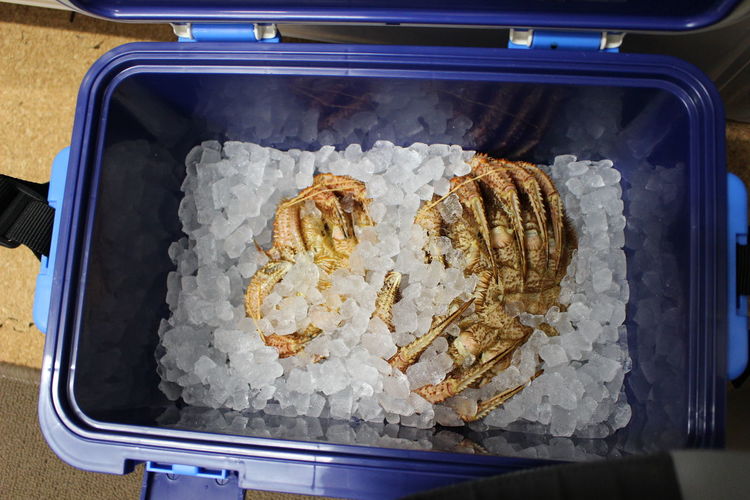 High angle view of crab in glass container