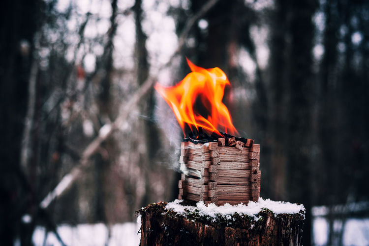 Bonfire on wooden structure in forest
