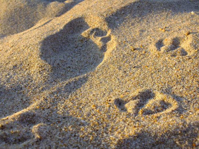 Close-up of footprints on sand