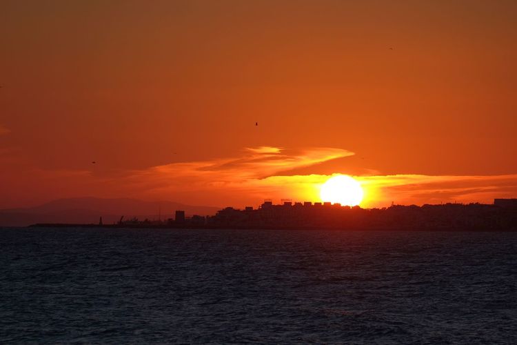 Silhouette birds on shore against orange sky during sunset