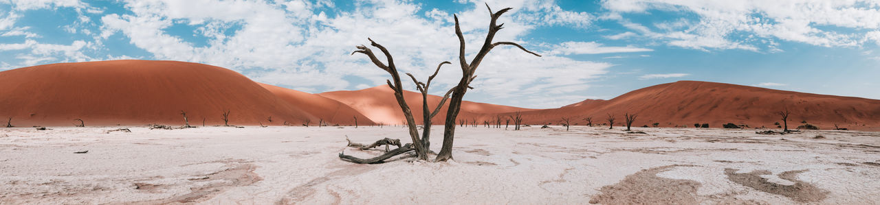Panoramic view of desert against sky