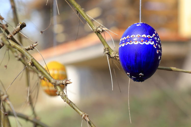 Colored and painted easter egg hanging on a twig