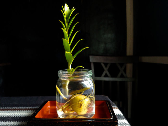 Glass of jar on table