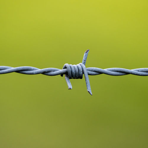 fence