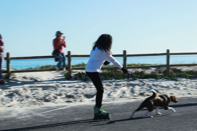Full length side view of young woman inline skating while holding running dog on street