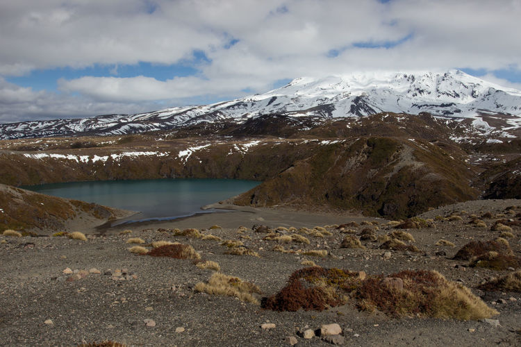 The lower tama lake and mount ruapehu volcano in the tongariro national park, new zealand.