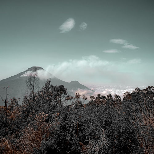 Sindoro mountain view landscape