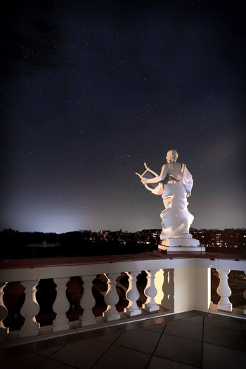 Woman standing on statue against clear sky at night