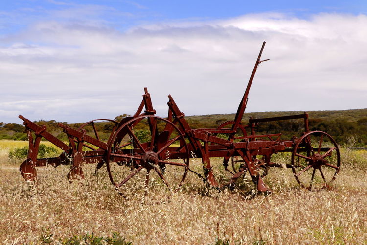agriculture