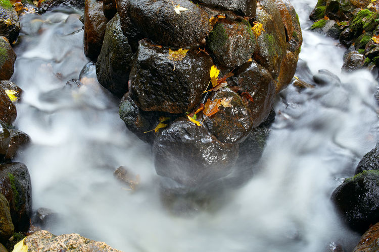 High angle view of rocks amidst stream