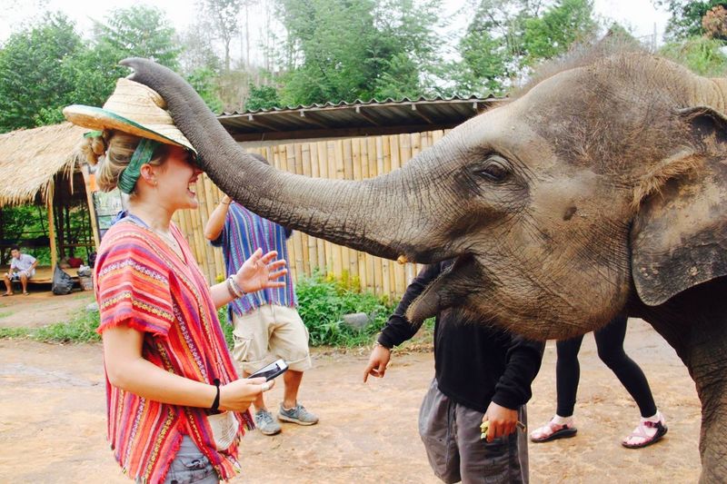 Side view of happy woman playing with elephant