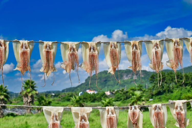 Clothes drying on clothesline against sky