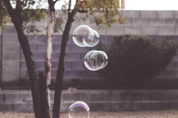 Bubbles against blurred background