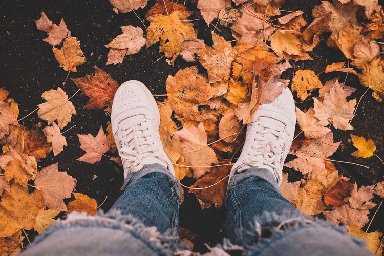 Low section of man standing on fallen autumn leaves at footpath