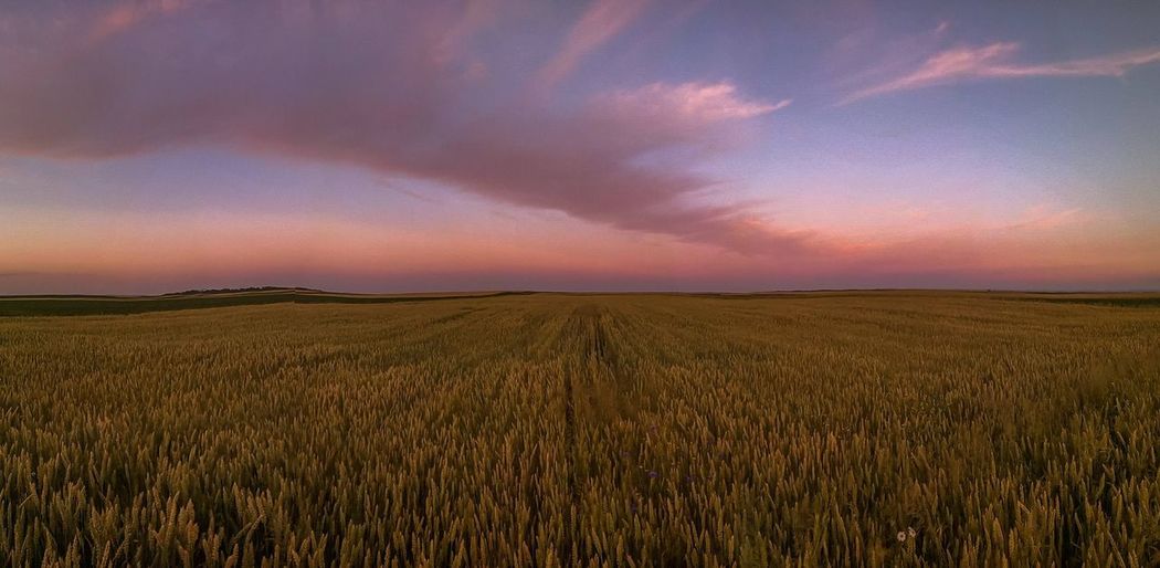 One of the better sunsets this spring