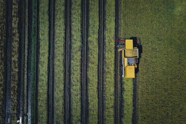 Aerial view of agricultural field