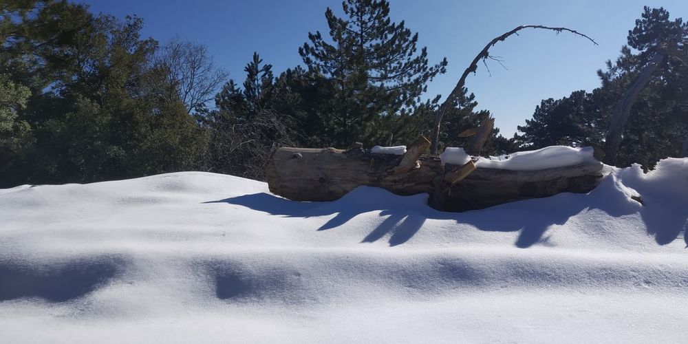 Scenic view of snow covered field against sky