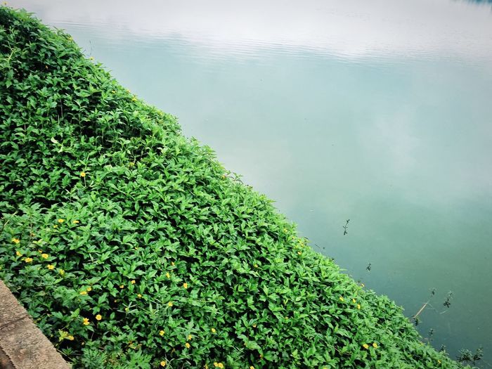 High angle view of a lake
