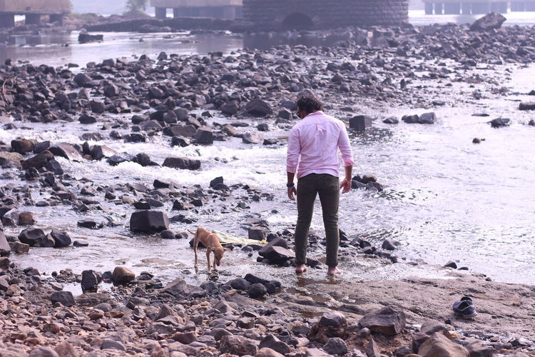 Rear view of man standing on beach with dog