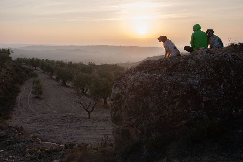 Man with dogs sitting on rock against sky during sunset