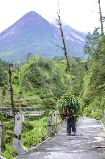 Rear view of woman walking on road with merapi mountain view