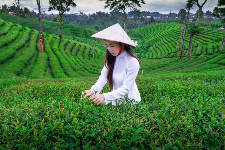 Beautiful woman working in farm