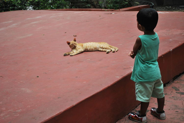 Boy looking at cat sleeping on concrete structure