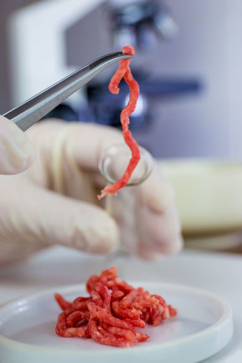 Meat is examined in a laboratory