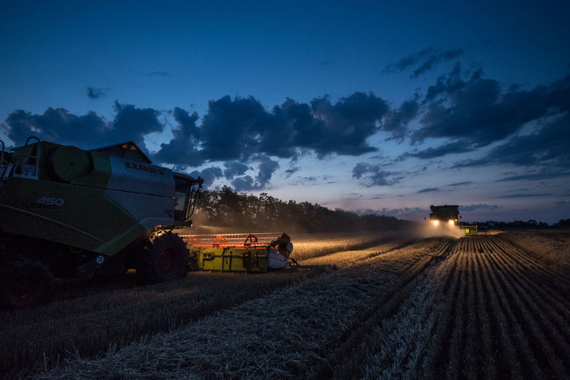 Illuminated machinery harvesting plants on field