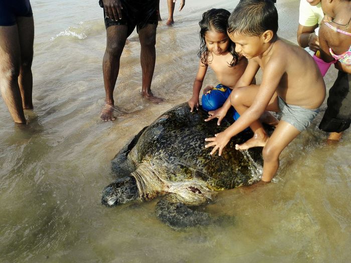 Kids playing with turtle in water