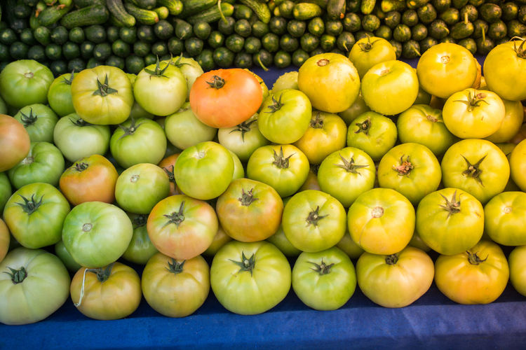 Green unripe fresh tomato vegetables in bazaar market