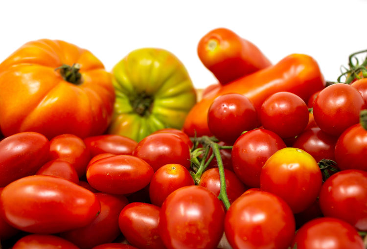 Close-up of tomatoes against white background