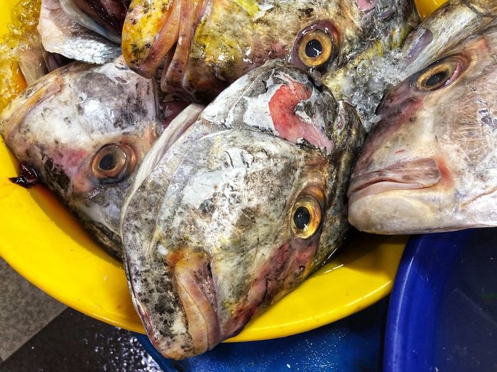 Close-up of fish for sale in market