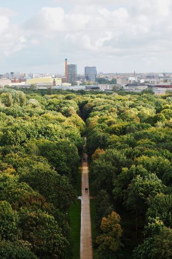 Trees in park against cityscape