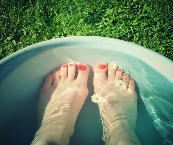 Low section of woman feet in bucket with white daisy flowers at back yard