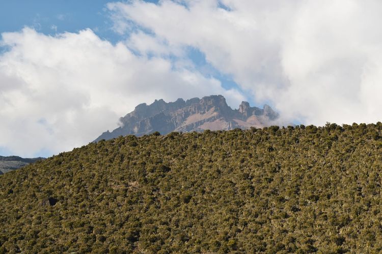 Scenic mountain against sky, mawenzi peak in mount kilimanjaro national park, tanzania