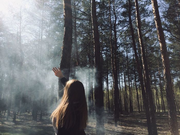 Rear view of woman standing by trees in forest