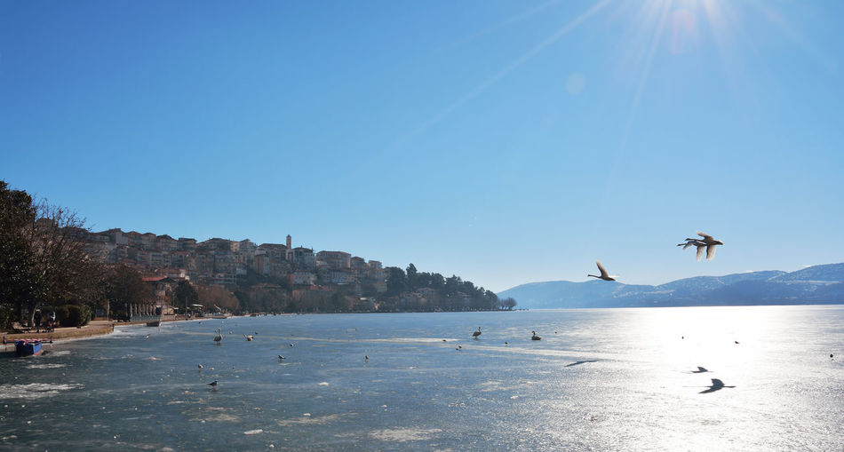 Frozen lake of kastoria , greece
