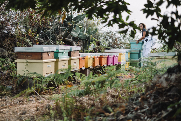 Young woman beekeeper at work in a nature