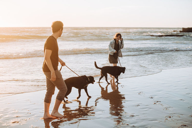 Millennial man and woman with two dogs walking at beach at sunset