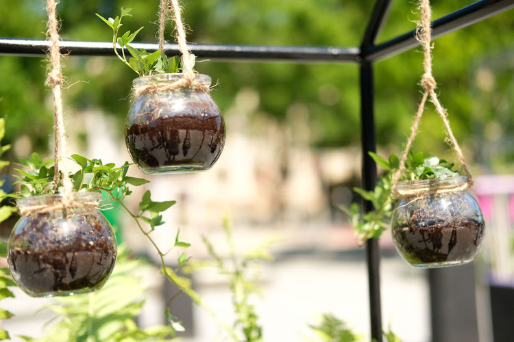 hanging
