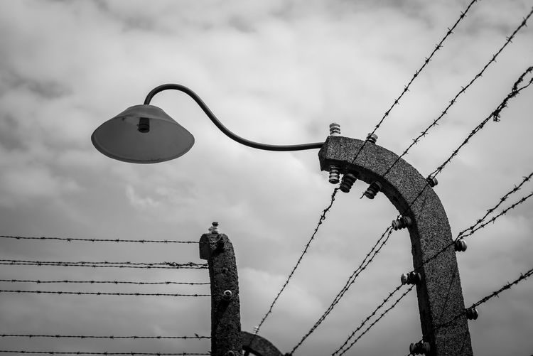 Low angle view of bird perching on cable against sky
