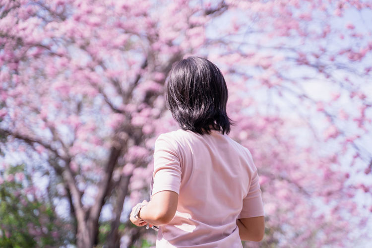 Rear view of woman with pink cherry blossoms