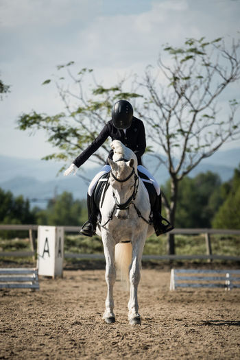 Unrecognizable female jockey riding white horse on sandy arena during dressage in equine club